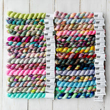 Load image into Gallery viewer, NEW 30 Skein Mini Sets