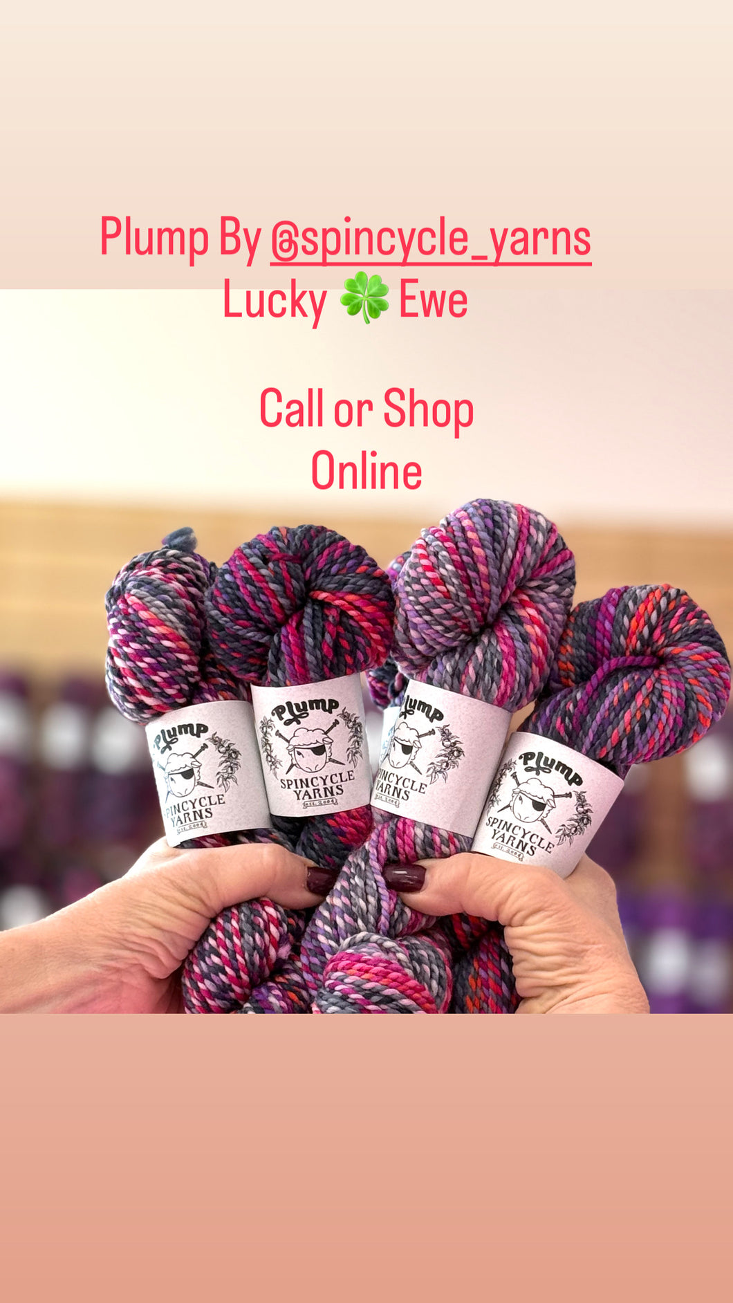 SPINCYCLE YARNS EXCLUSIVE LUCKY EWE IN PLUMP