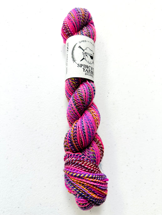 Ewenicorn Colorway Spincycle Yarns Dyed in the Wool